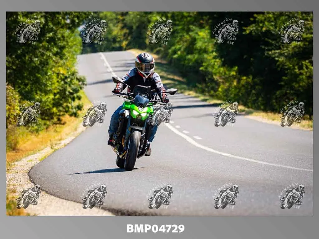 zhp08.09-233.jpg