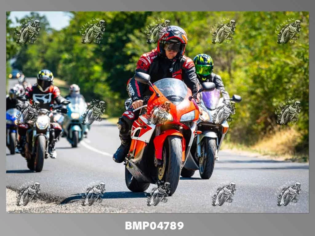 zhp08.09-292.jpg