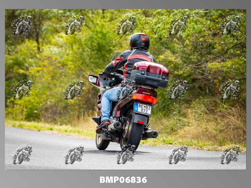 zhp09.13-011.jpg