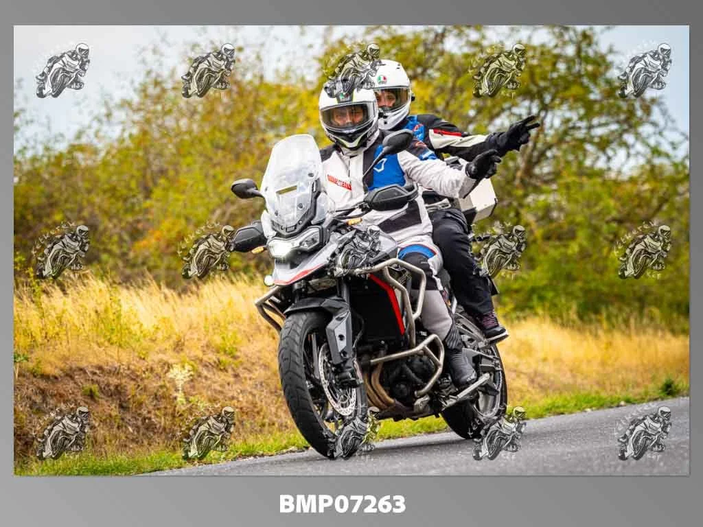 zhp09.13-391.jpg