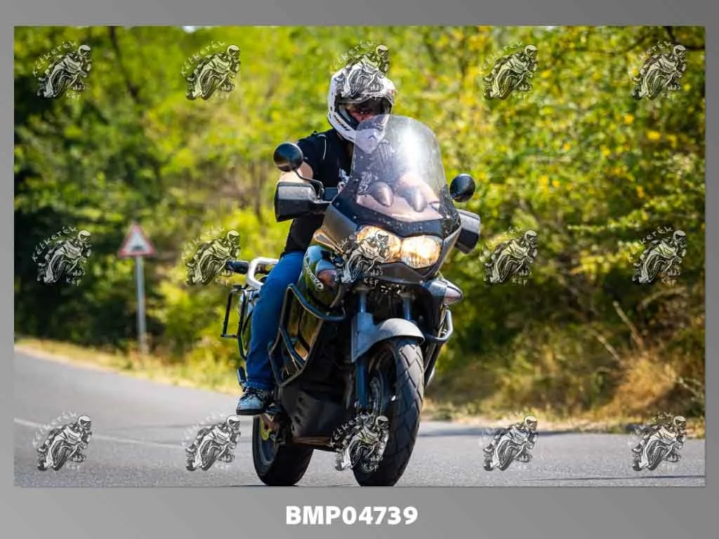zhp08.09-242.jpg