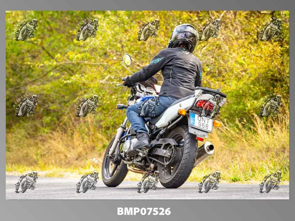 zhp09.13-617.jpg