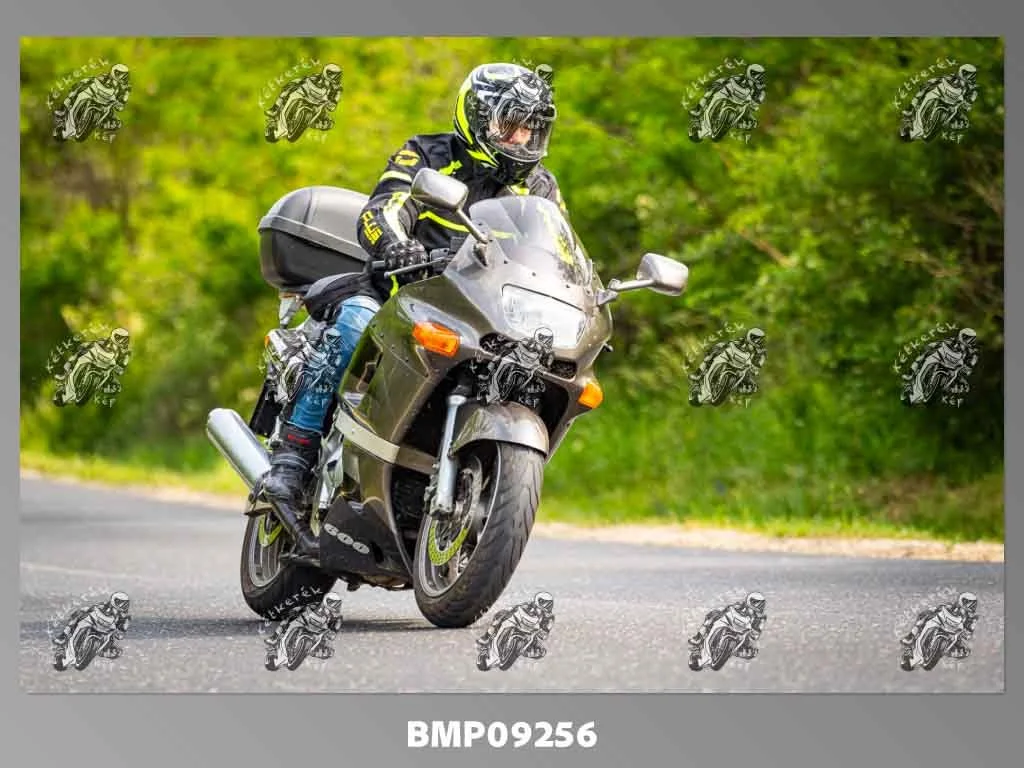 zhp05.31-717.jpg