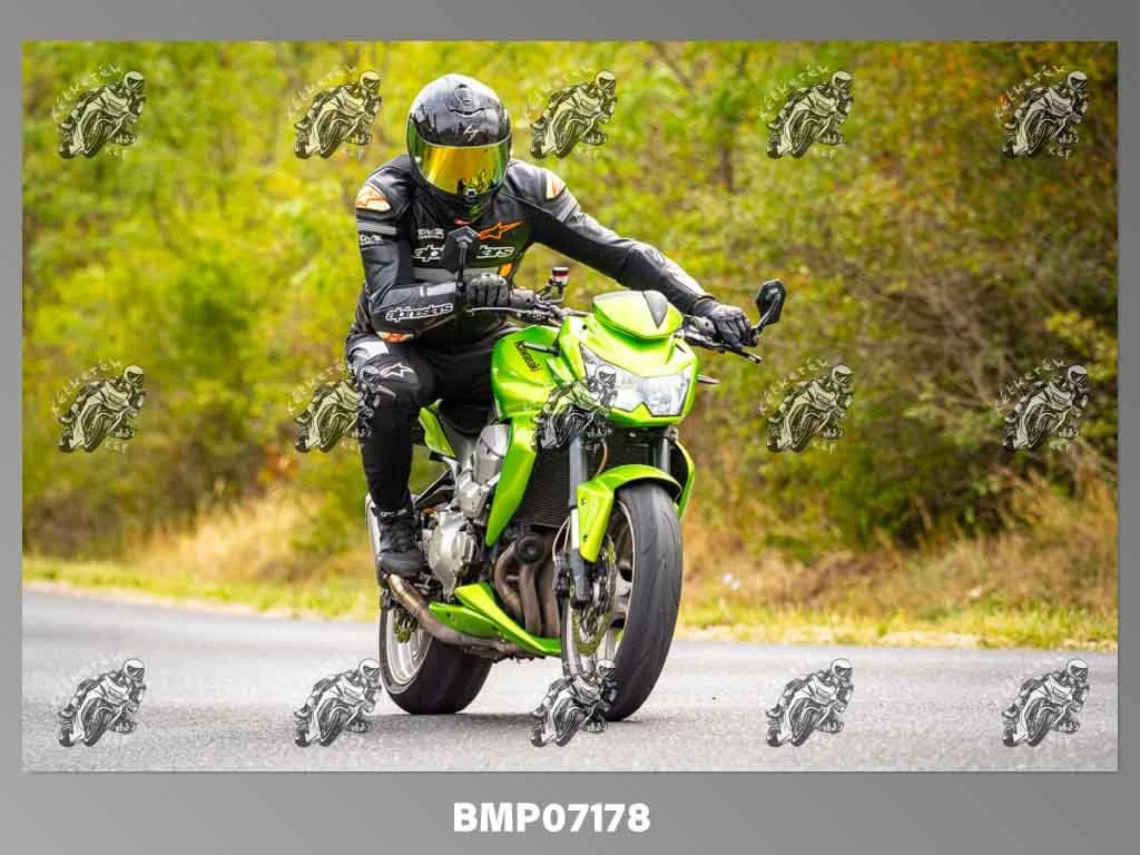 zhp09.13-311.jpg