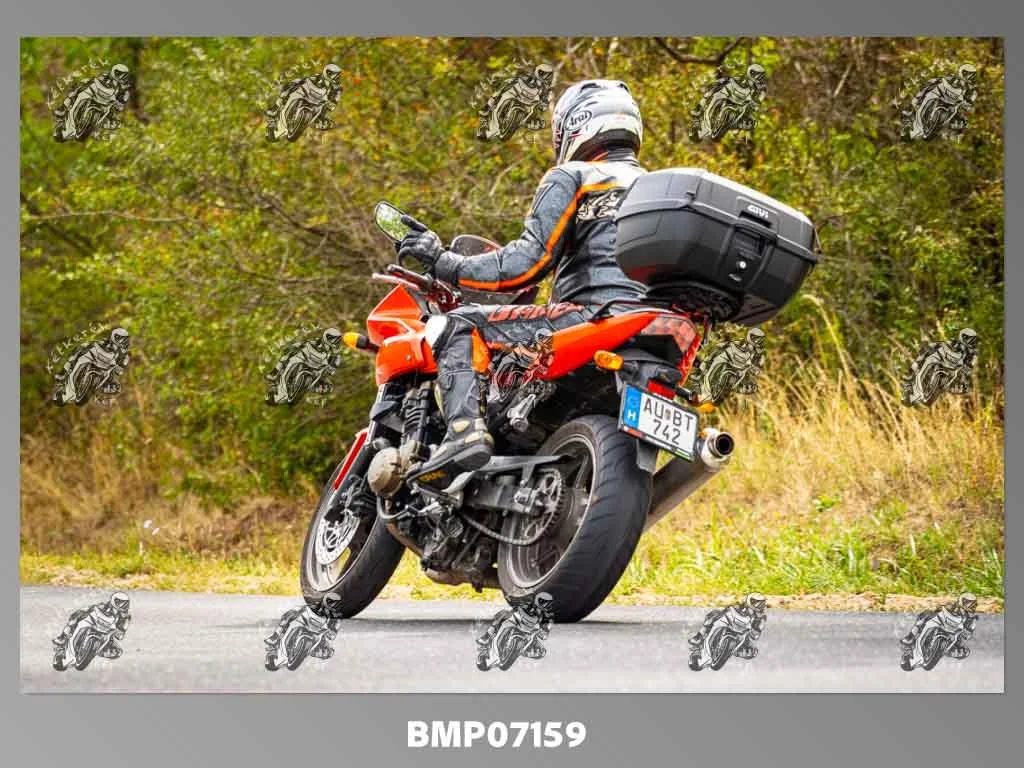 zhp09.13-293.jpg