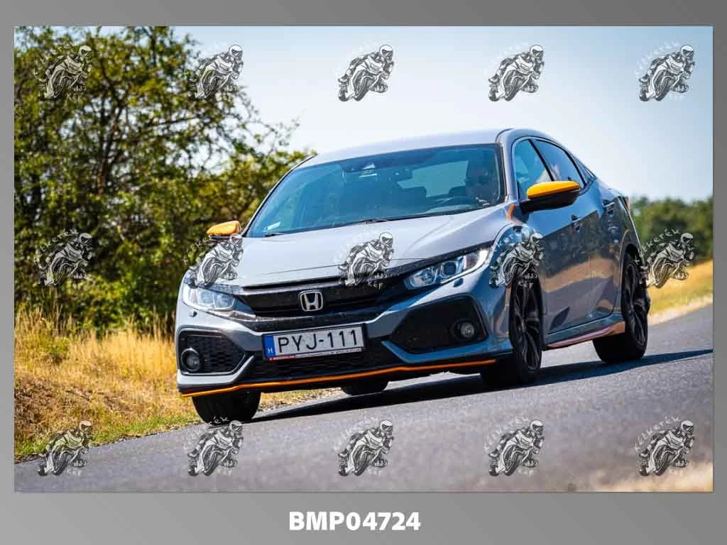 zhp08.09-228.jpg