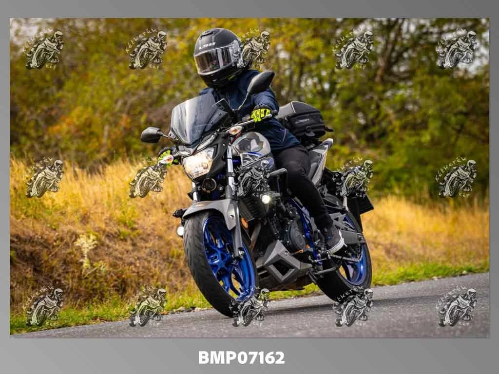 zhp09.13-296.jpg