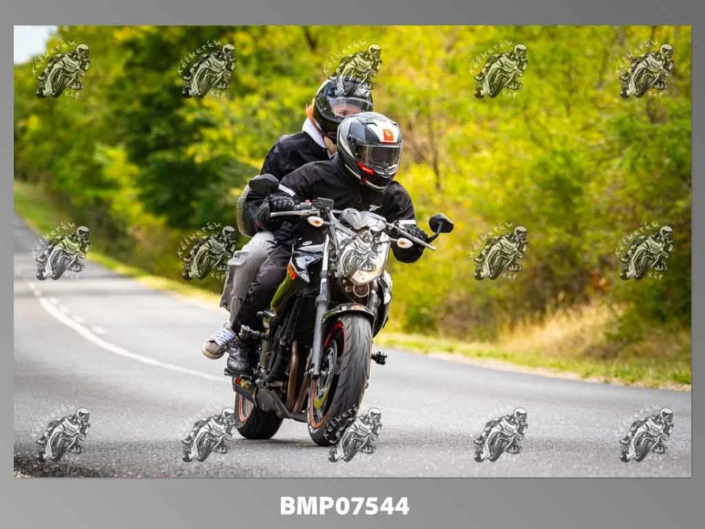 zhp09.13-633.jpg
