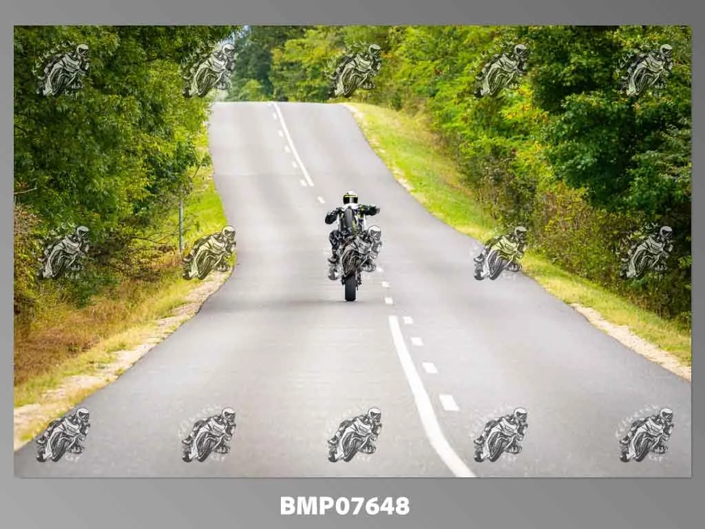 zhp09.13-726.jpg