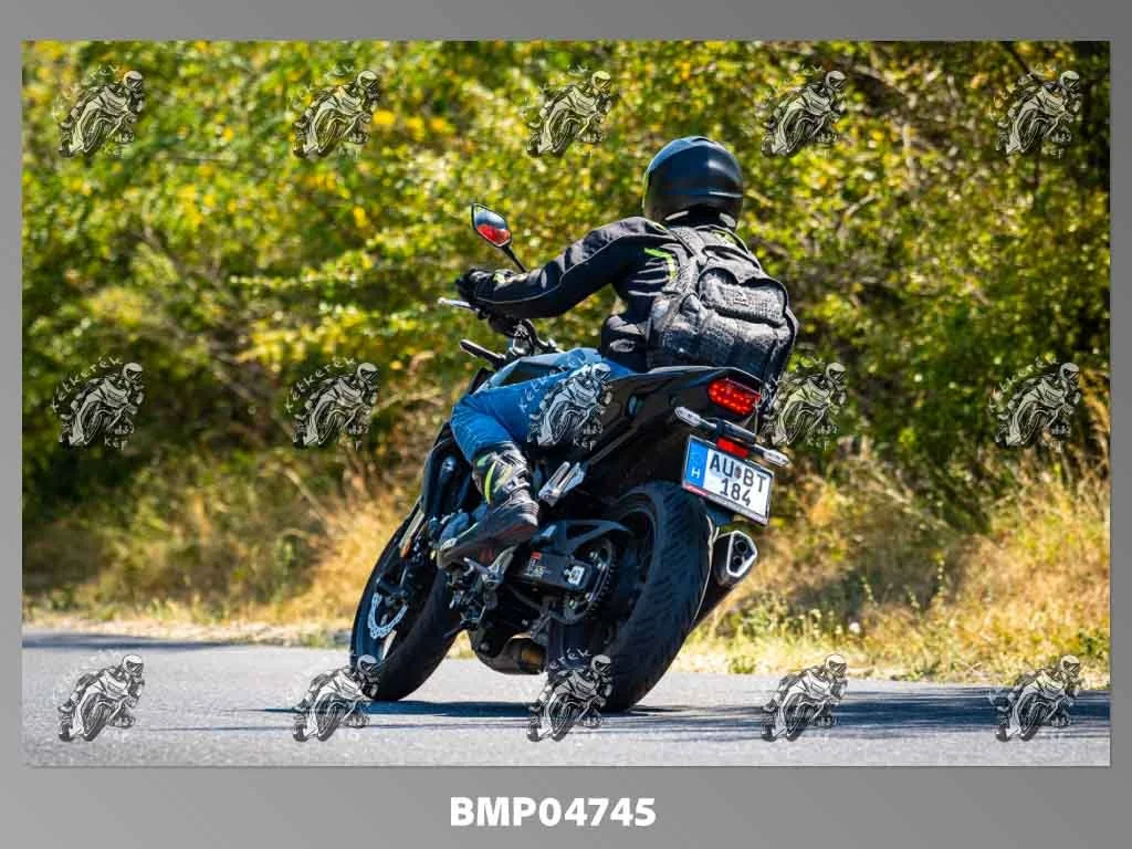 zhp08.09-248.jpg