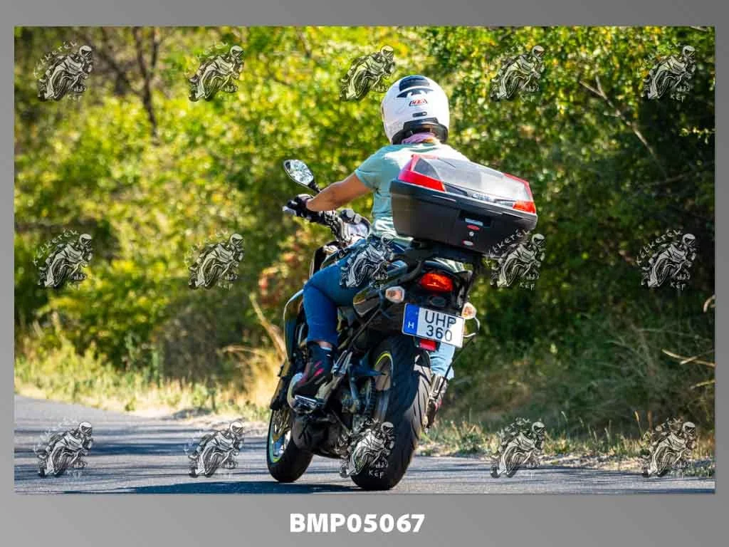 zhp08.09-557.jpg