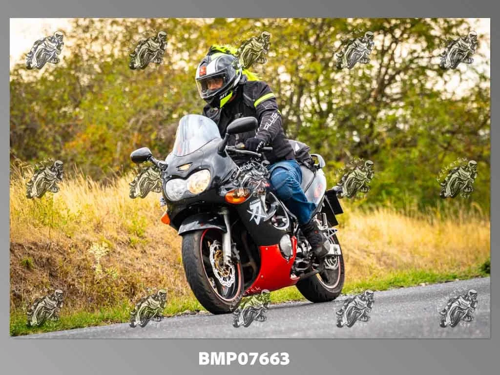 zhp09.13-739.jpg