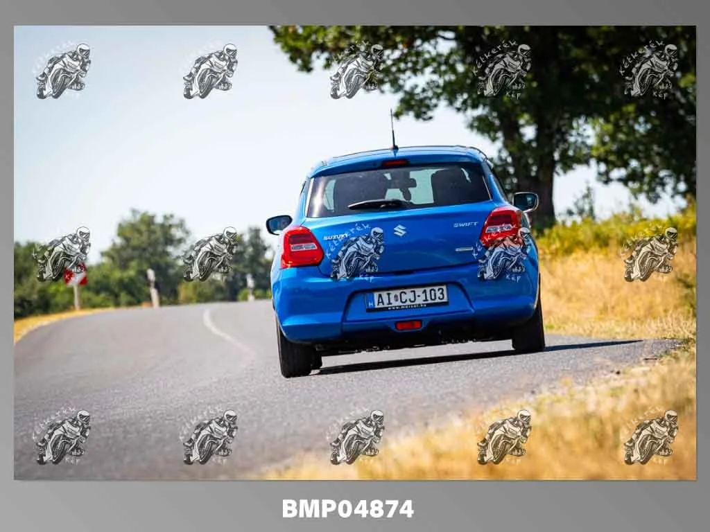 zhp08.09-377.jpg