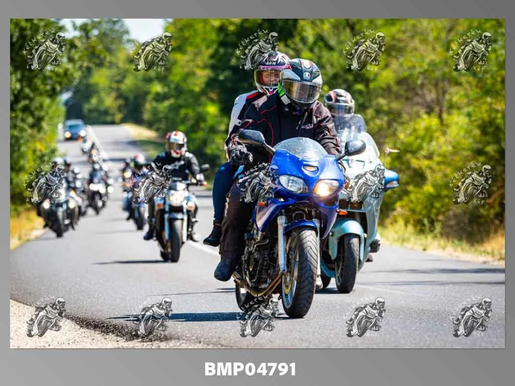 zhp08.09-294.jpg