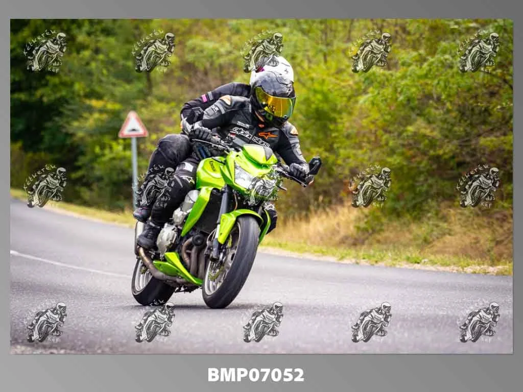 zhp09.13-202.jpg