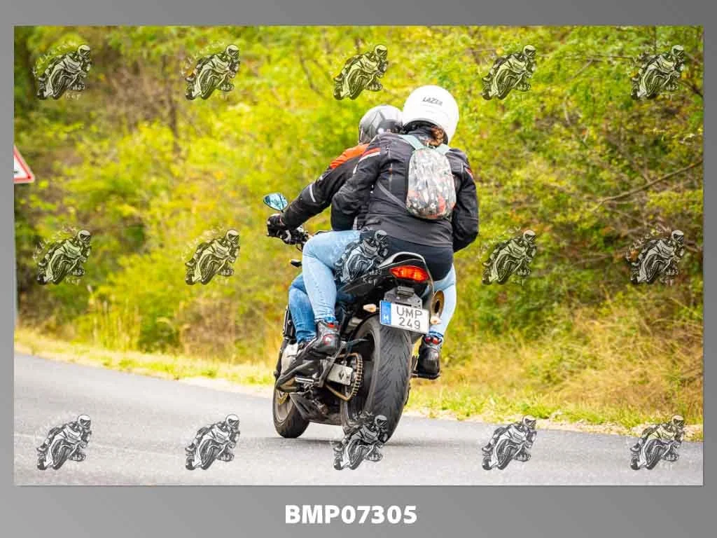 zhp09.13-428.jpg