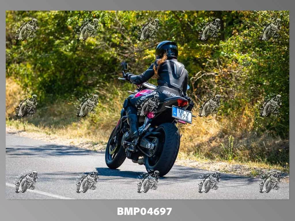zhp08.09-202.jpg