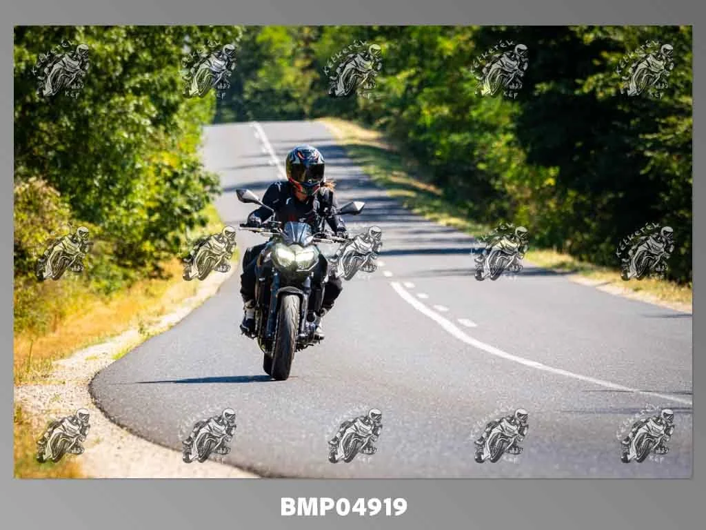 zhp08.09-420.jpg