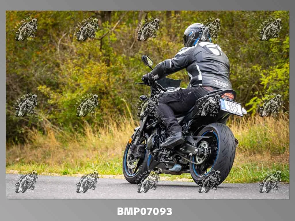 zhp09.13-233.jpg