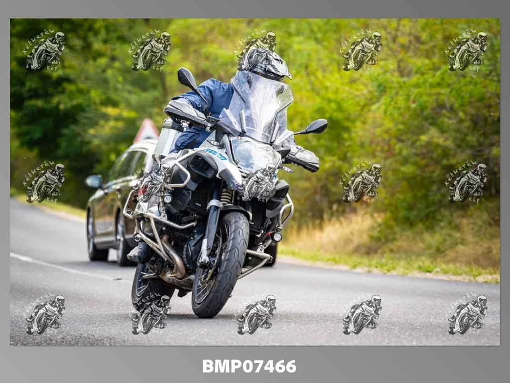 zhp09.13-561.jpg