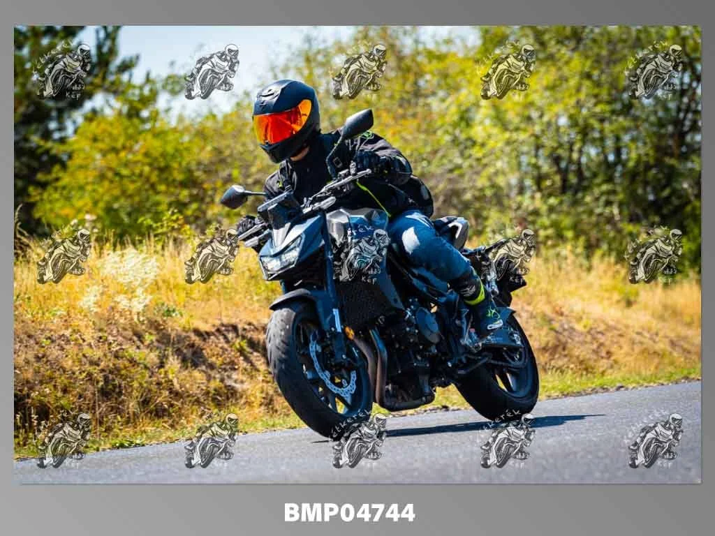 zhp08.09-247.jpg