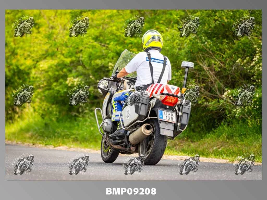 zhp05.31-674.jpg