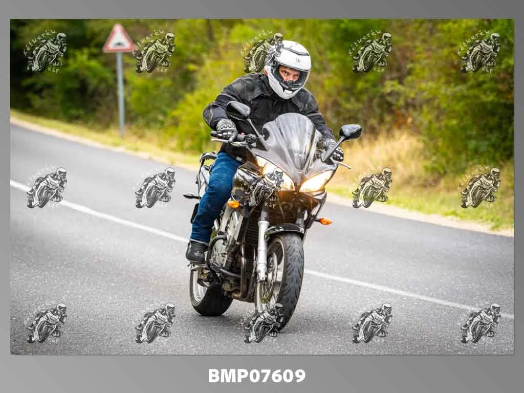 zhp09.13-691.jpg