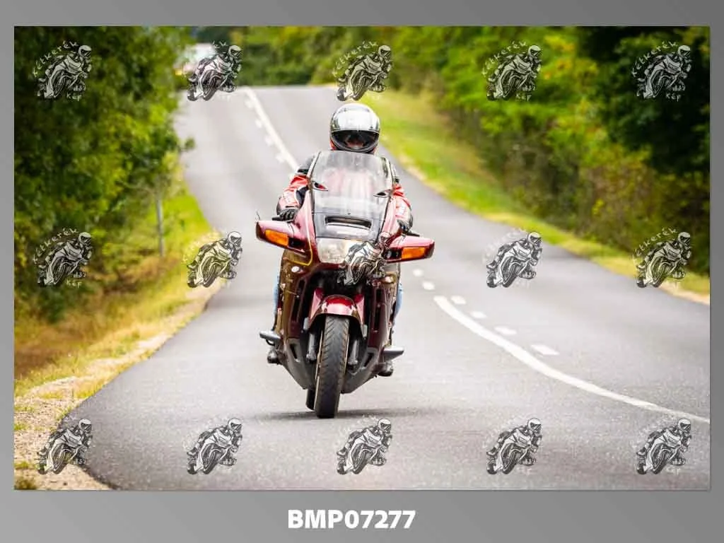 zhp09.13-405.jpg