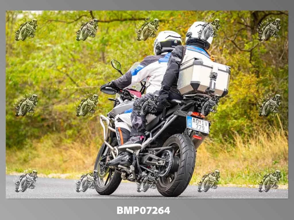 zhp09.13-392.jpg