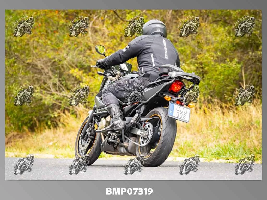 zhp09.13-440.jpg