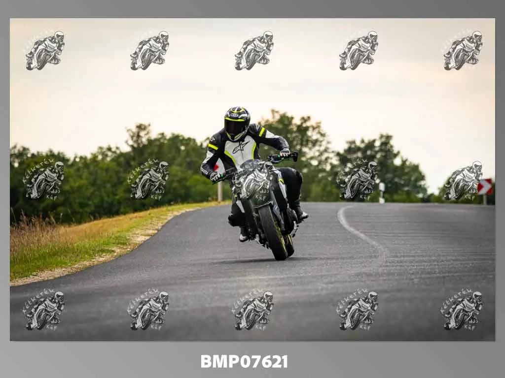zhp09.13-703.jpg