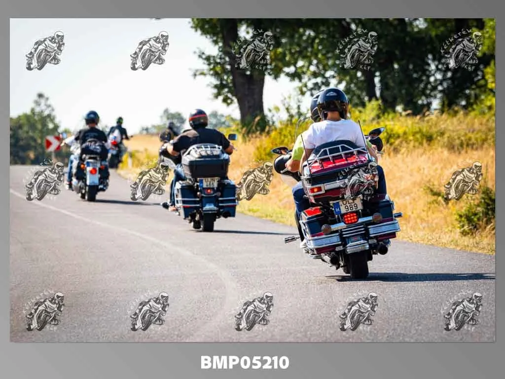 zhp08.09-691.jpg