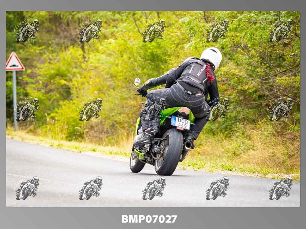 zhp09.13-179.jpg