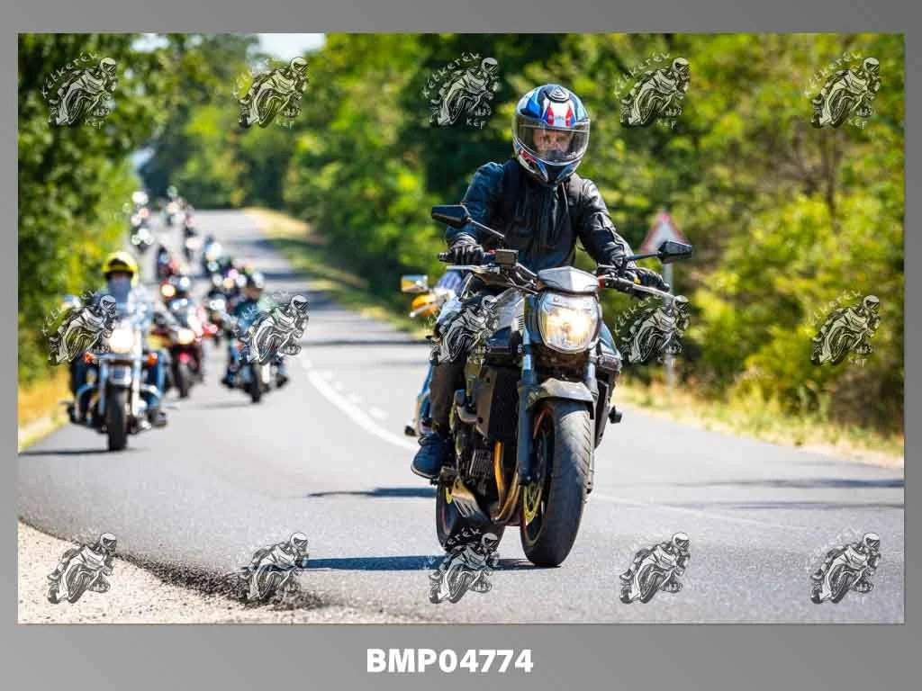 zhp08.09-277.jpg