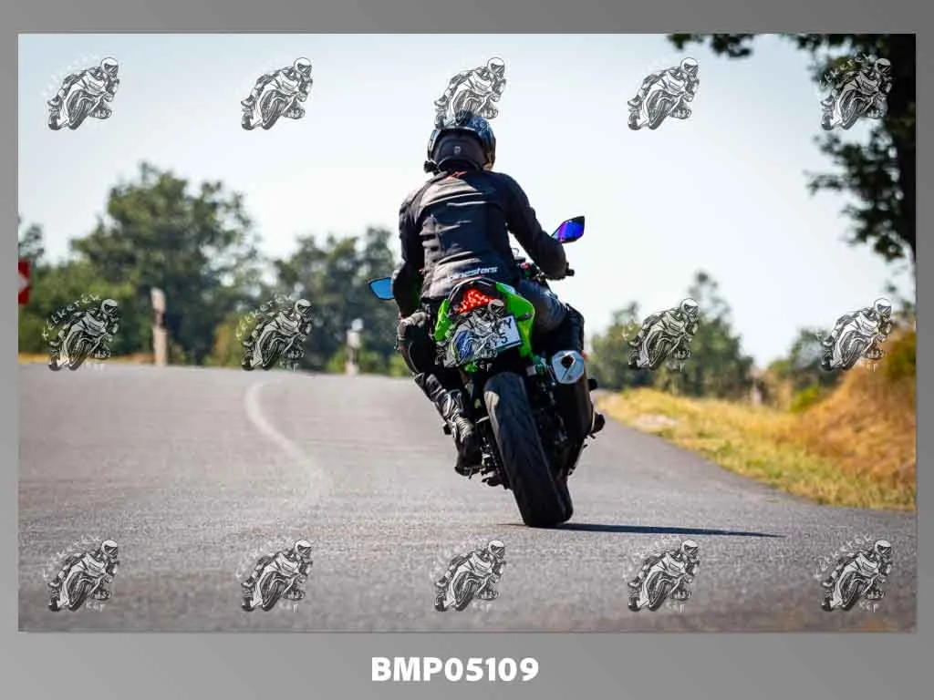 zhp08.09-596.jpg