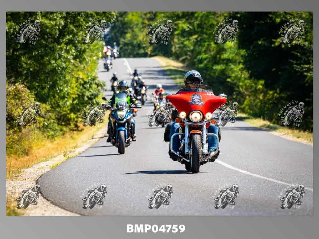 zhp08.09-262.jpg