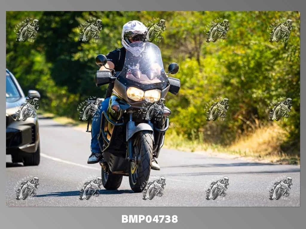 zhp08.09-241.jpg