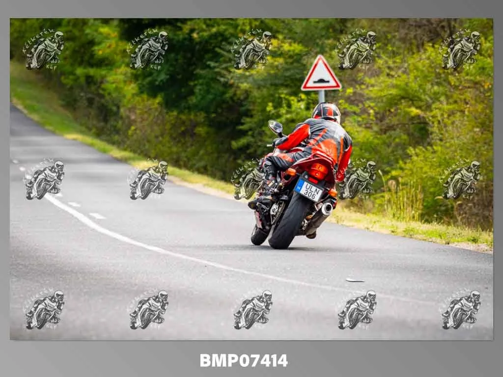zhp09.13-509.jpg