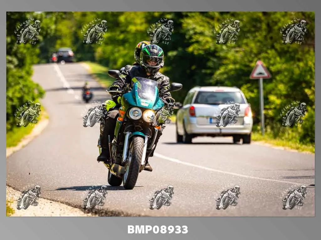 zhp05.31-419.jpg