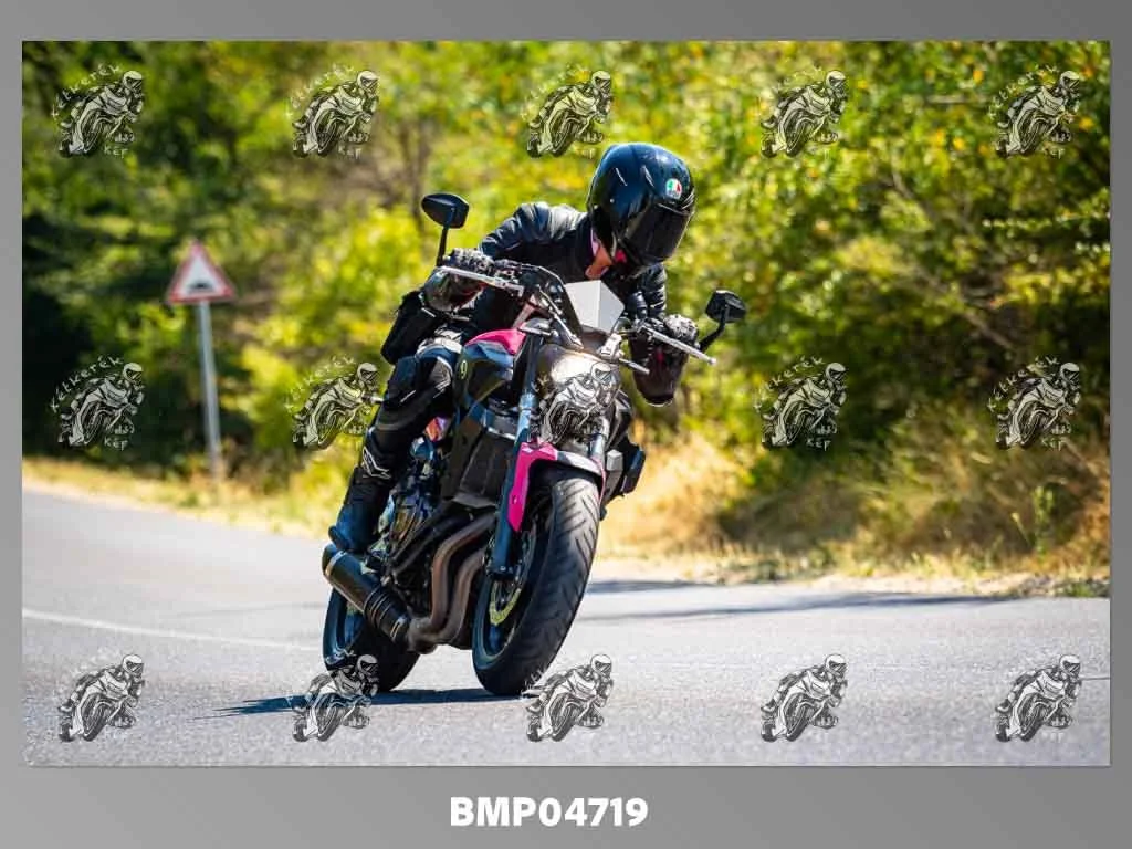 zhp08.09-224.jpg