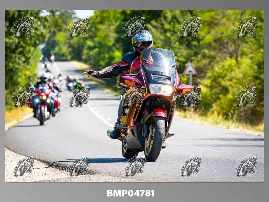 zhp08.09-284.jpg
