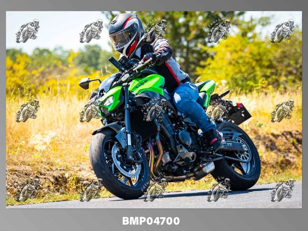zhp08.09-205.jpg
