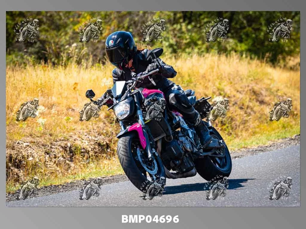 zhp08.09-201.jpg