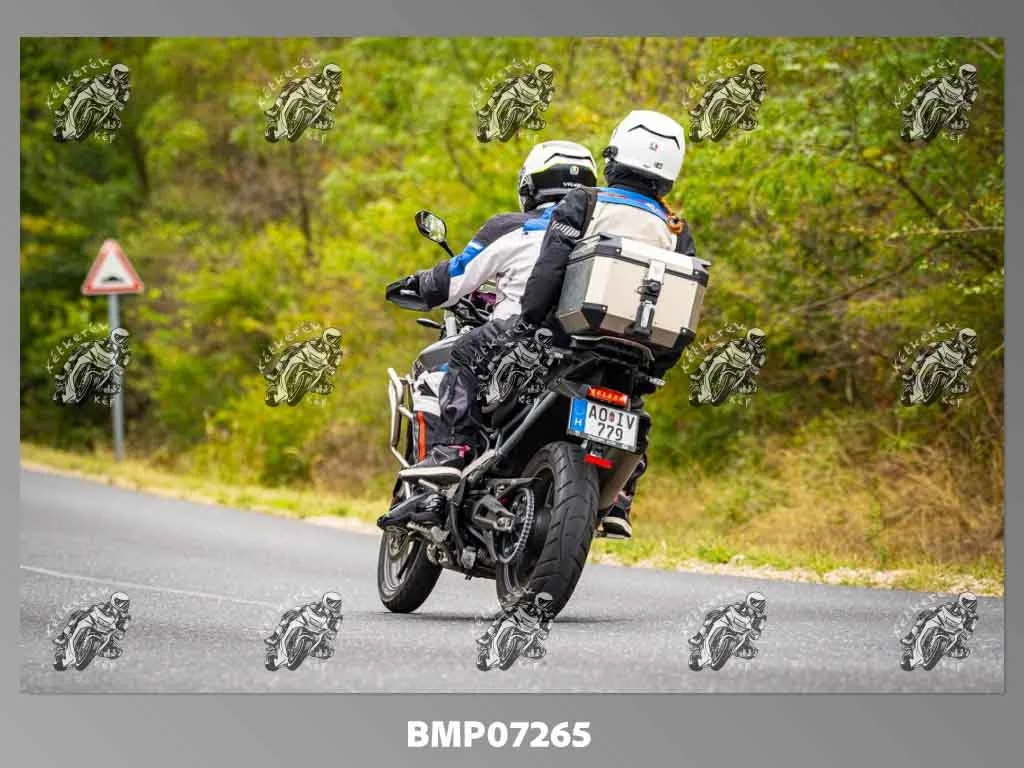 zhp09.13-393.jpg
