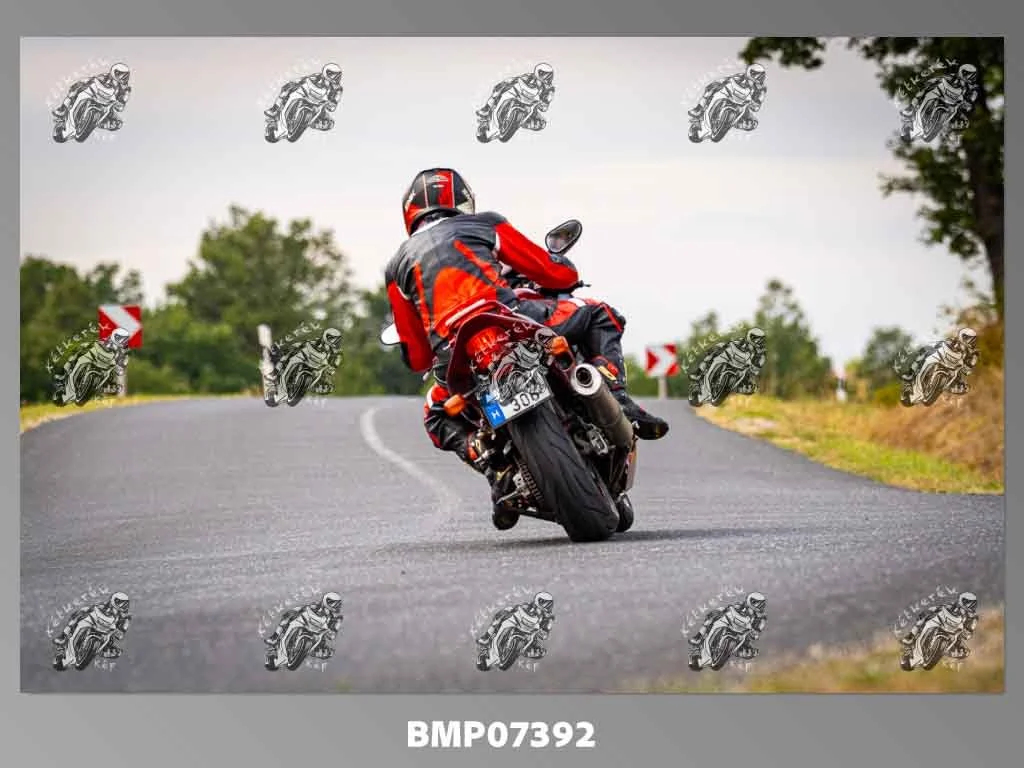 zhp09.13-490.jpg