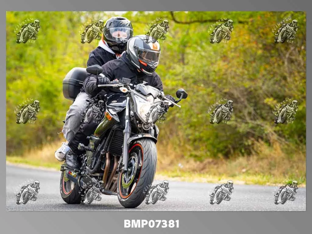 zhp09.13-479.jpg