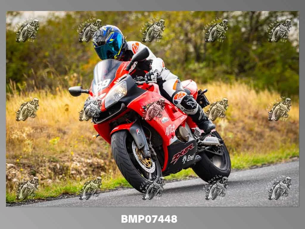 zhp09.13-543.jpg