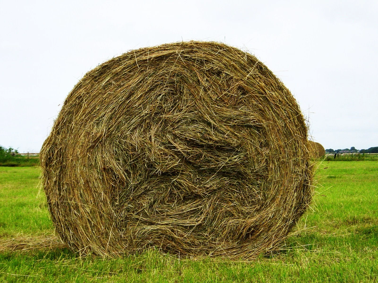 %22Geballte%22 Natur.JPG