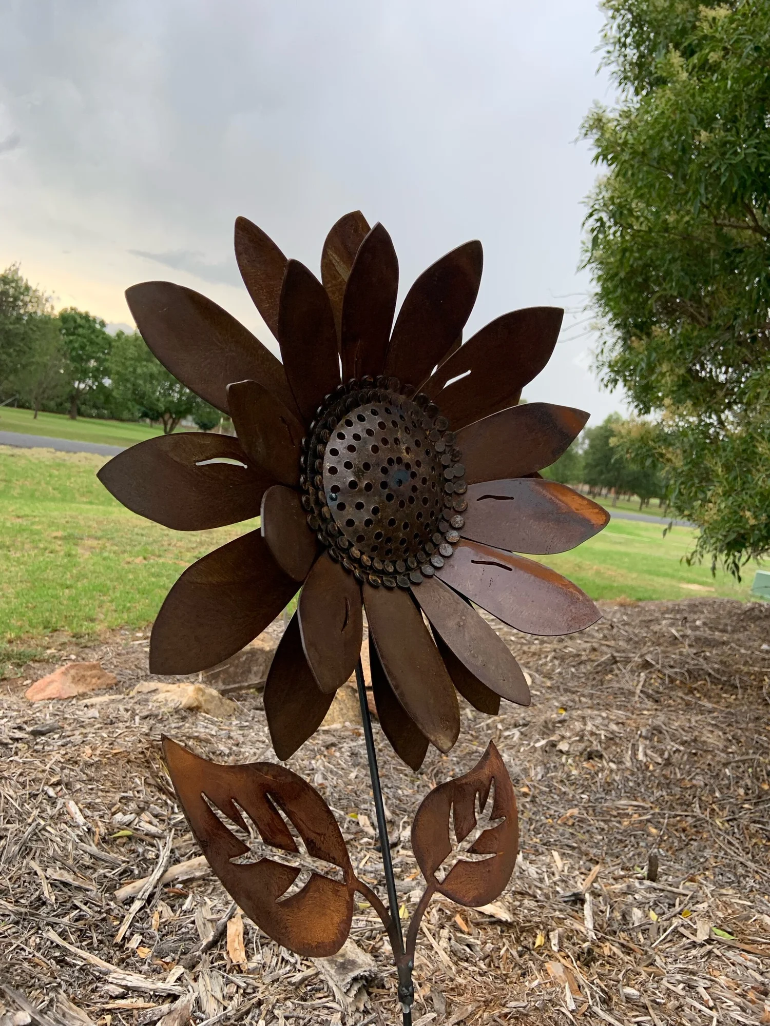 Sunflower — 5 Nine Designs