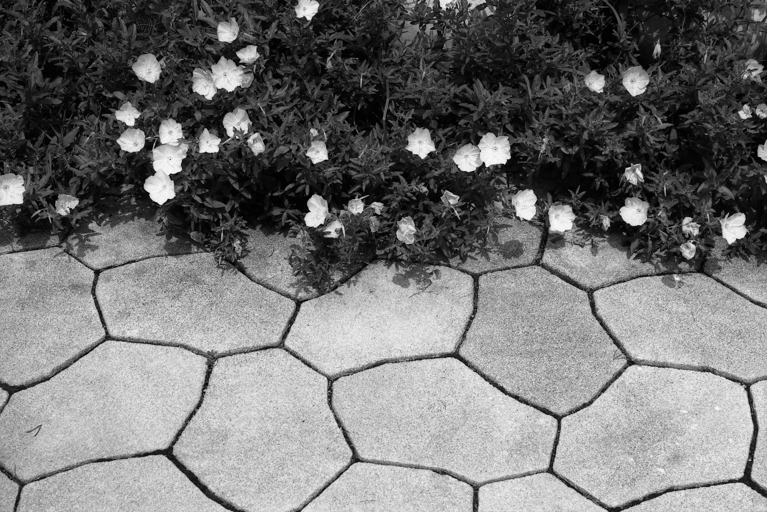 Sochang Experience Center 02.jpg